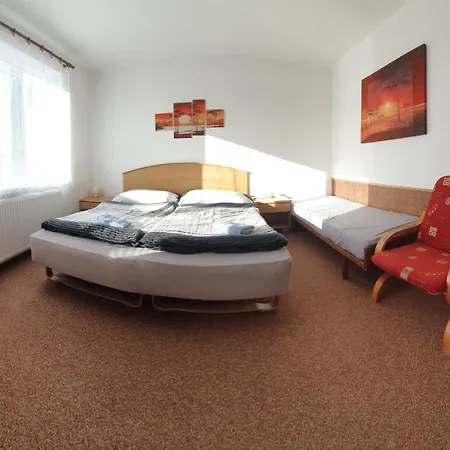 Guest house Holiday U Capu Lomnice nad Luznici